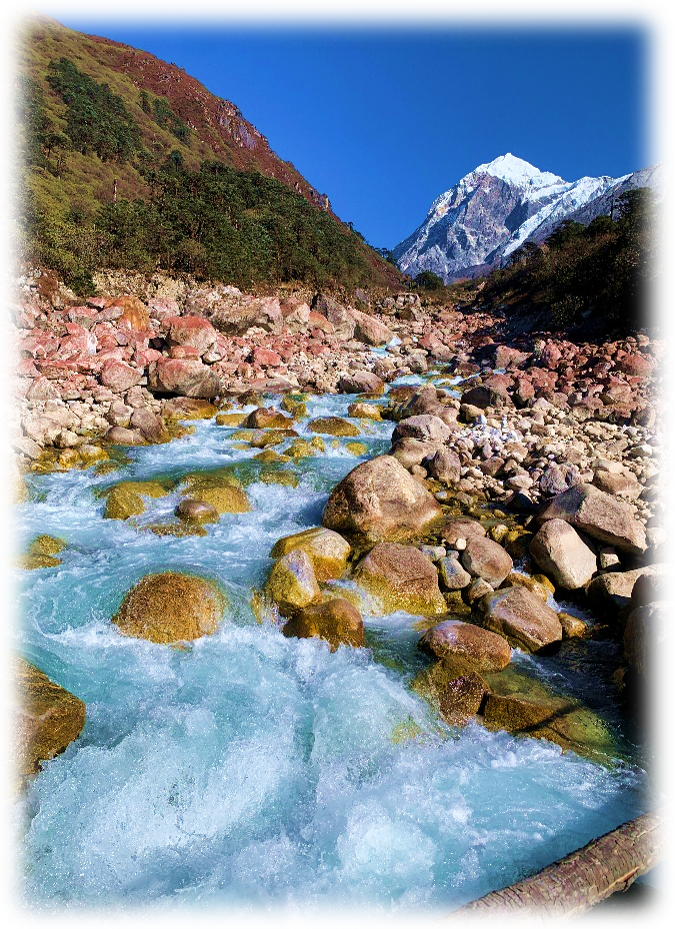 Goecha La Trek Highlights: A Journey Through the Heart of Kanchenjunga National Park. — image 26