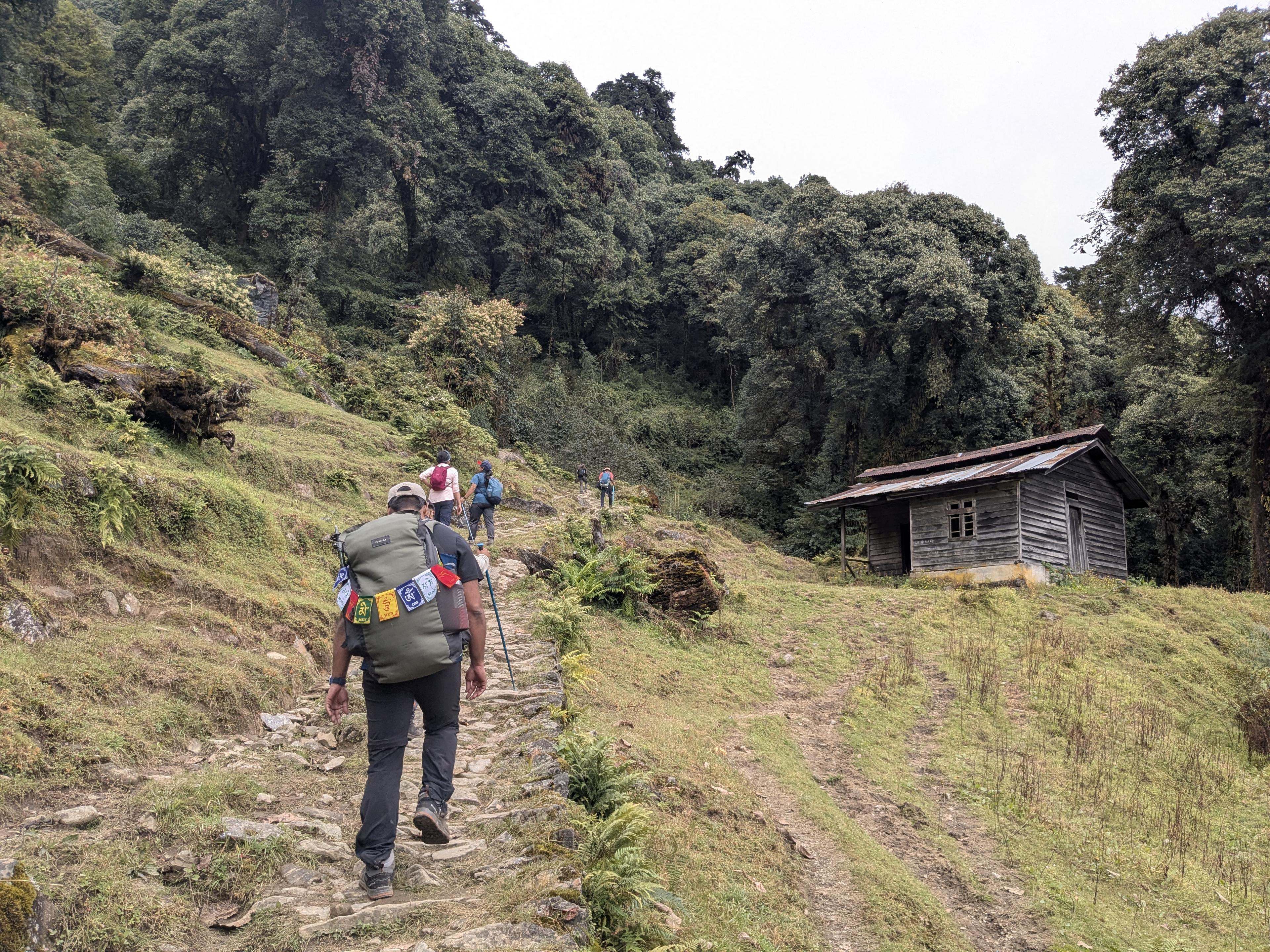 Goecha La Trek Highlights: A Journey Through the Heart of Kanchenjunga National Park. — image 4