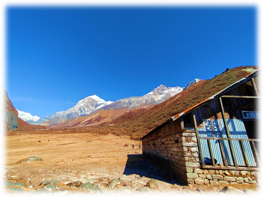 Goecha La Trek Highlights: A Journey Through the Heart of Kanchenjunga National Park. — image 28