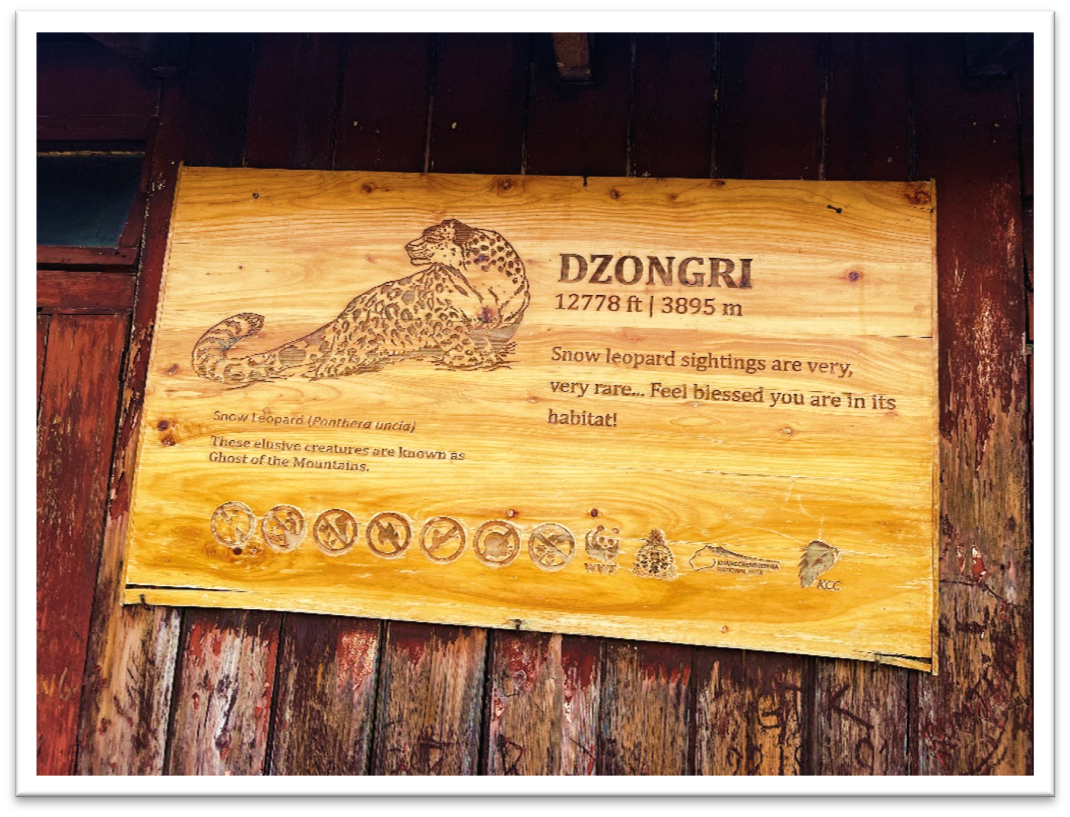 Goecha La Trek Highlights: A Journey Through the Heart of Kanchenjunga National Park. — image 12