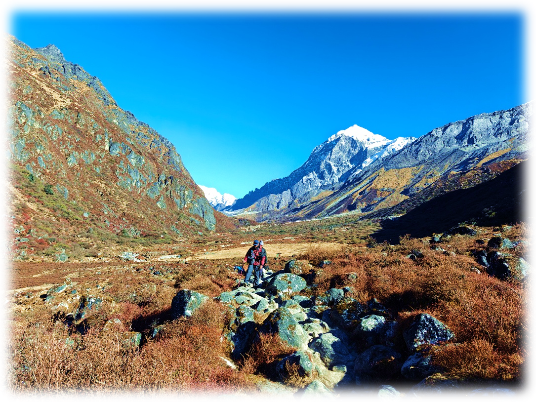 Goecha La Trek Highlights: A Journey Through the Heart of Kanchenjunga National Park. — image 27