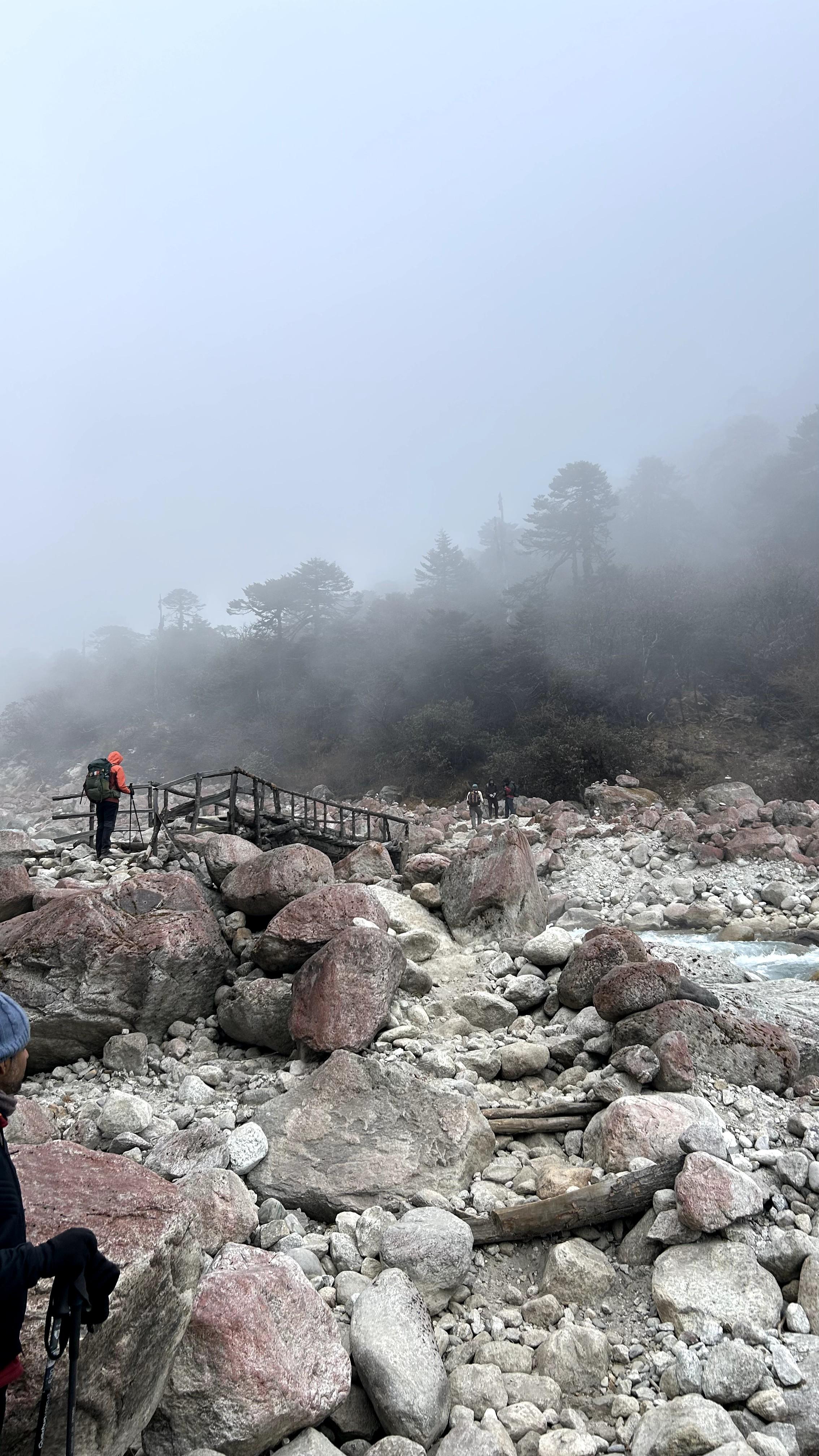 Goecha La Trek Highlights: A Journey Through the Heart of Kanchenjunga National Park. — image 16