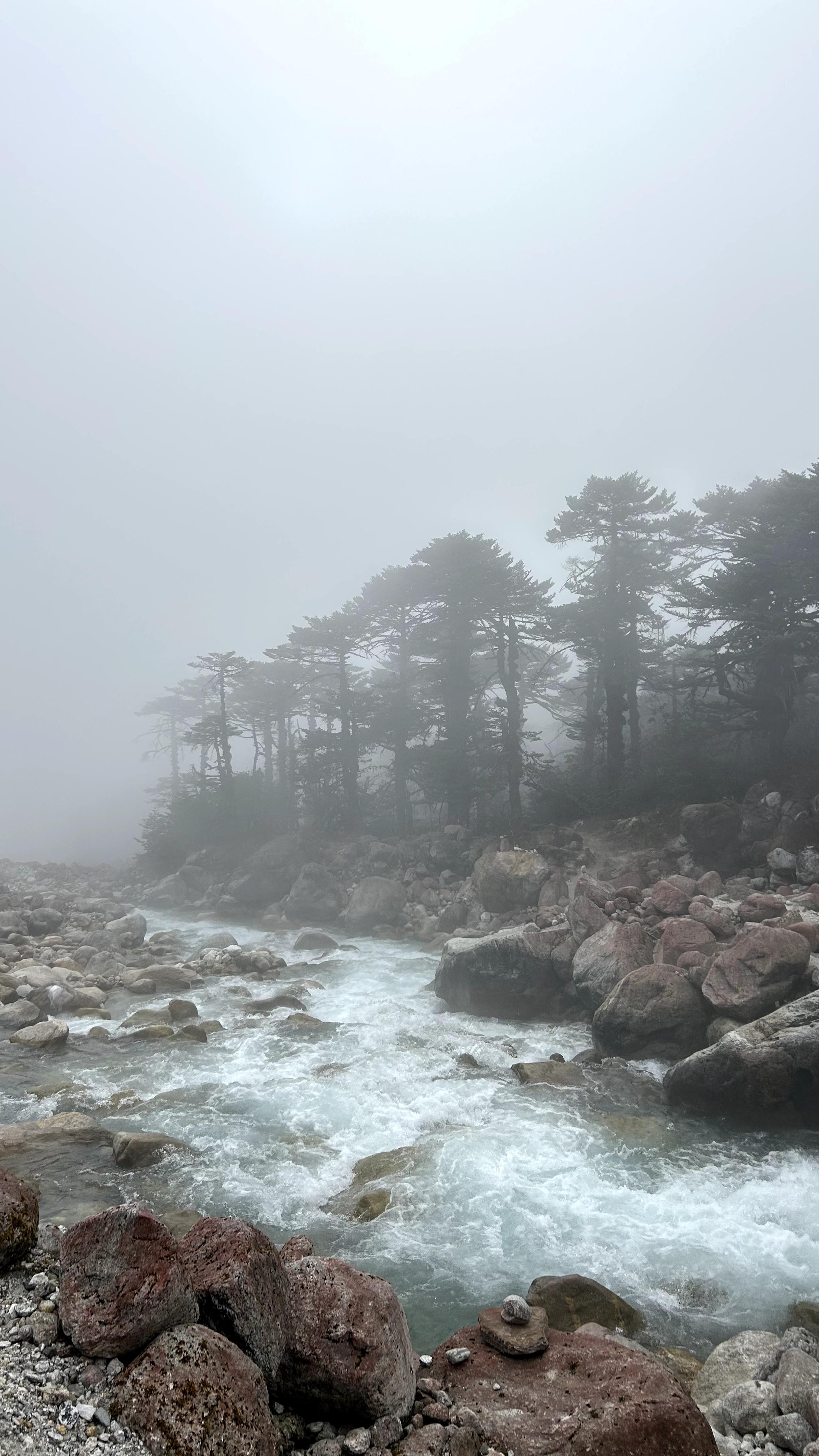 Goecha La Trek Highlights: A Journey Through the Heart of Kanchenjunga National Park. — image 17