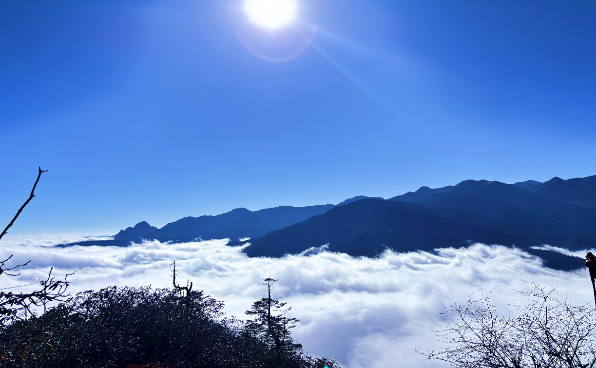 Goecha La Trek Highlights: A Journey Through the Heart of Kanchenjunga National Park. — image 13