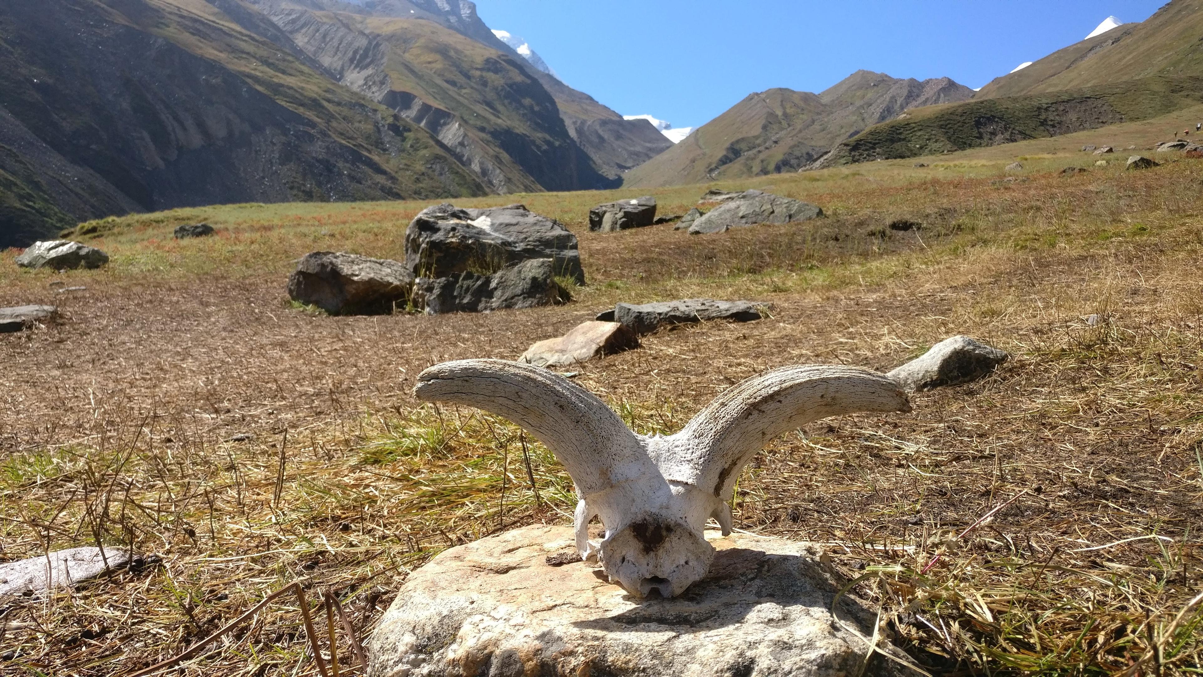 Auden's Col Trek scenery 2