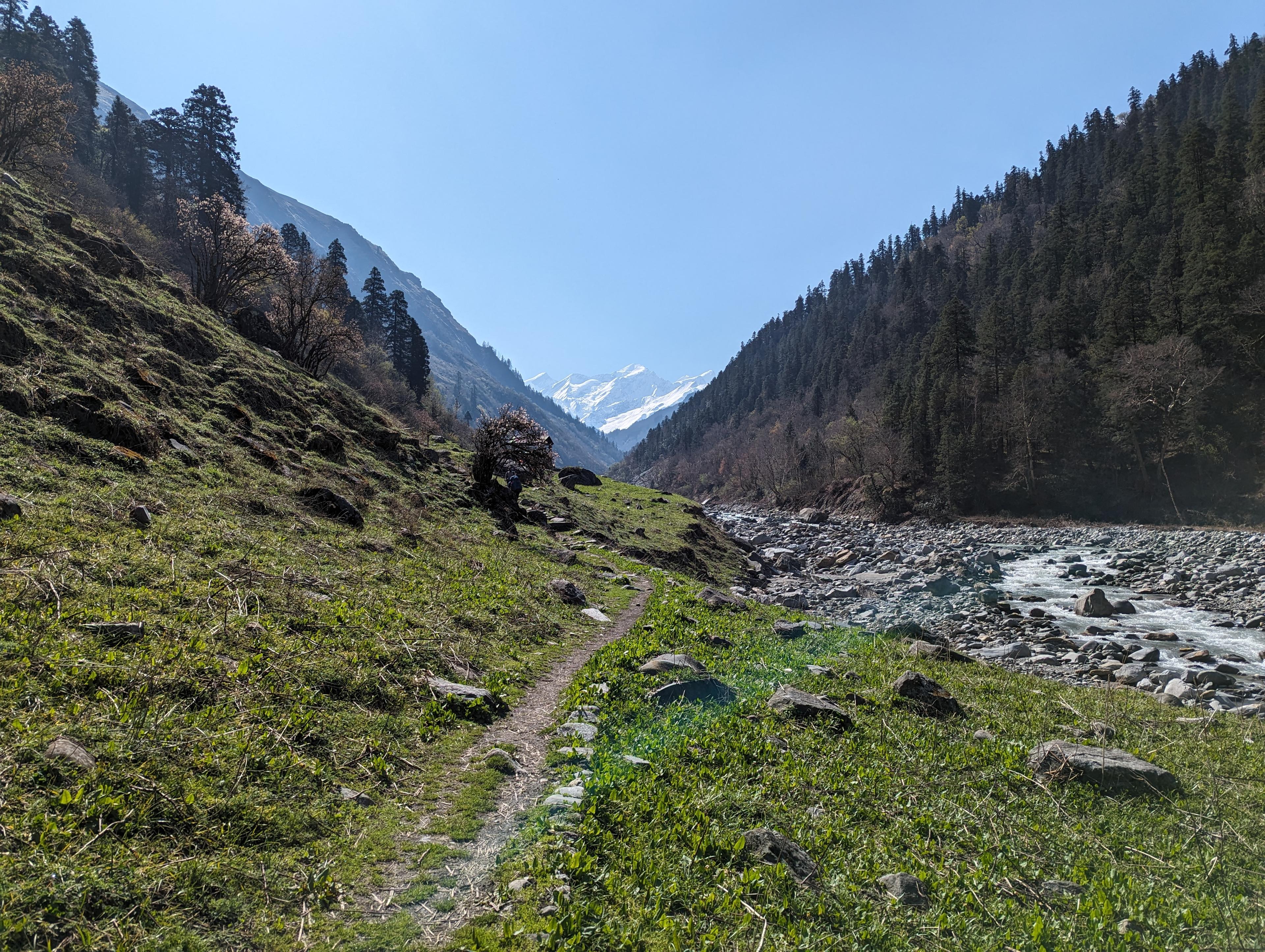 Bali Pass Trek scenery 8