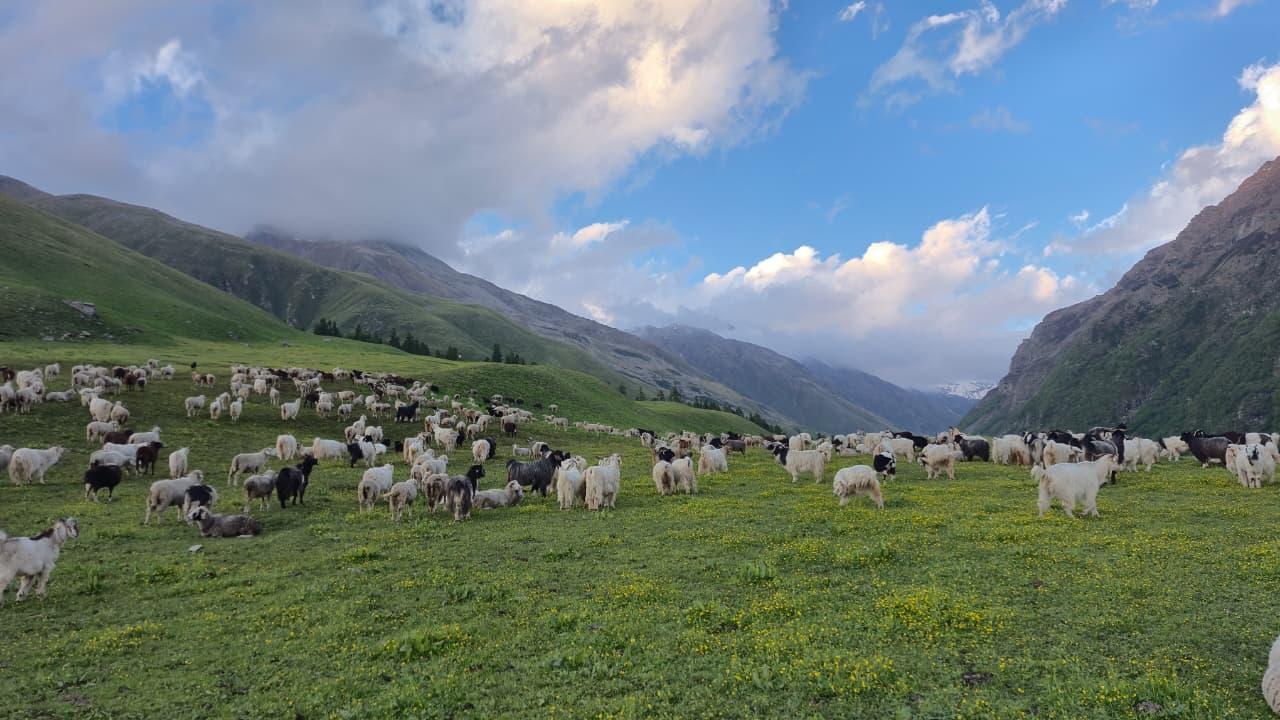 Bara Bhangal Glacier Trek scenery 5