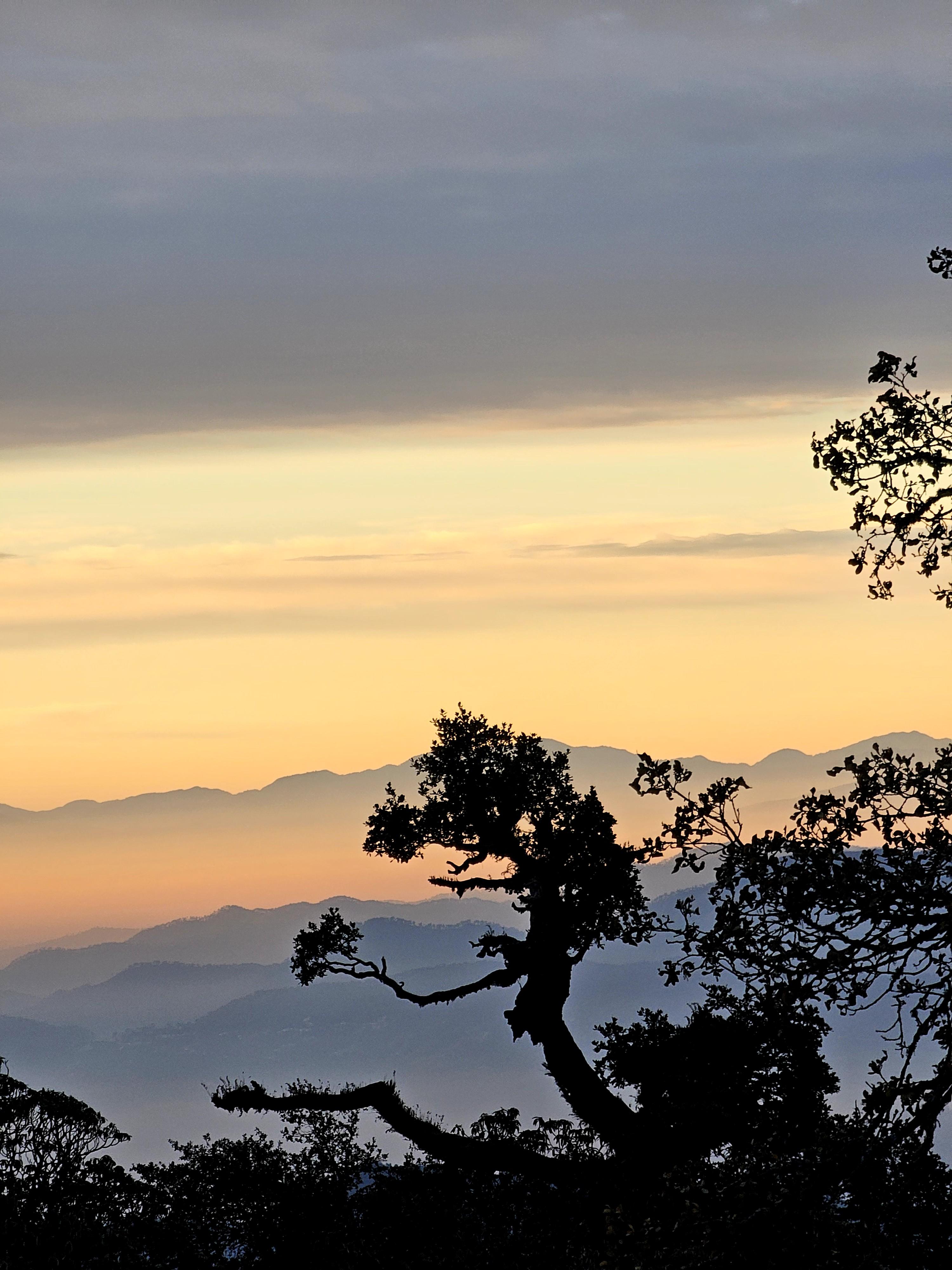 Brahmatal Trek scenery 7