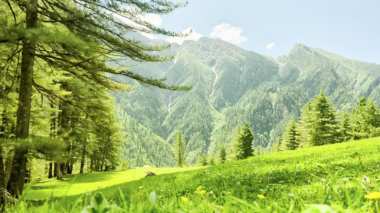 Buran Ghati Trek trek