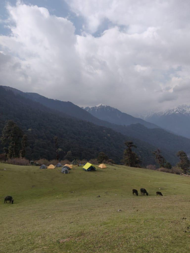Dayara Bugyal Trek — A vast rolling meadow in every season