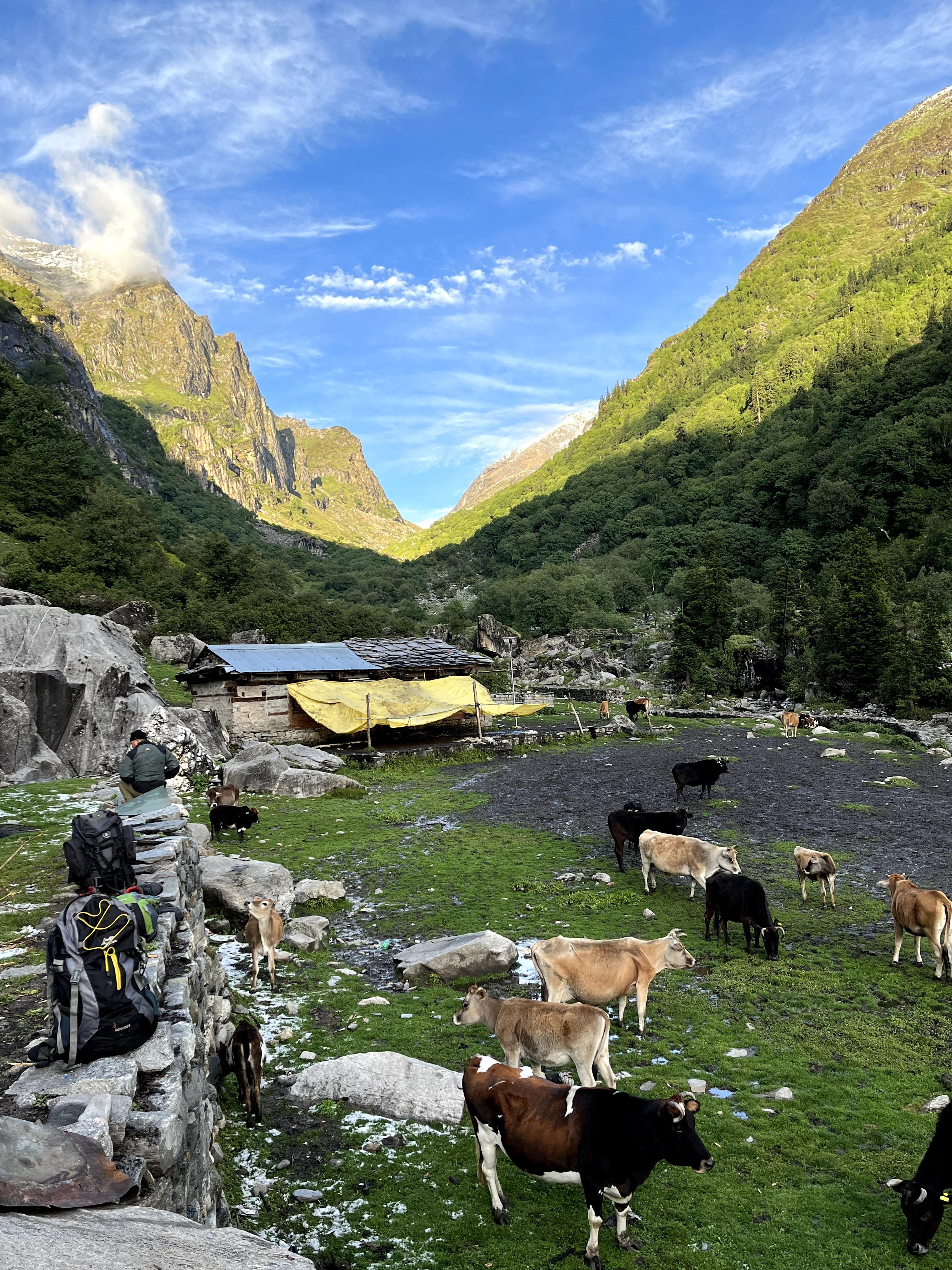 Deo Tibba Base Camp Trek scenery 2