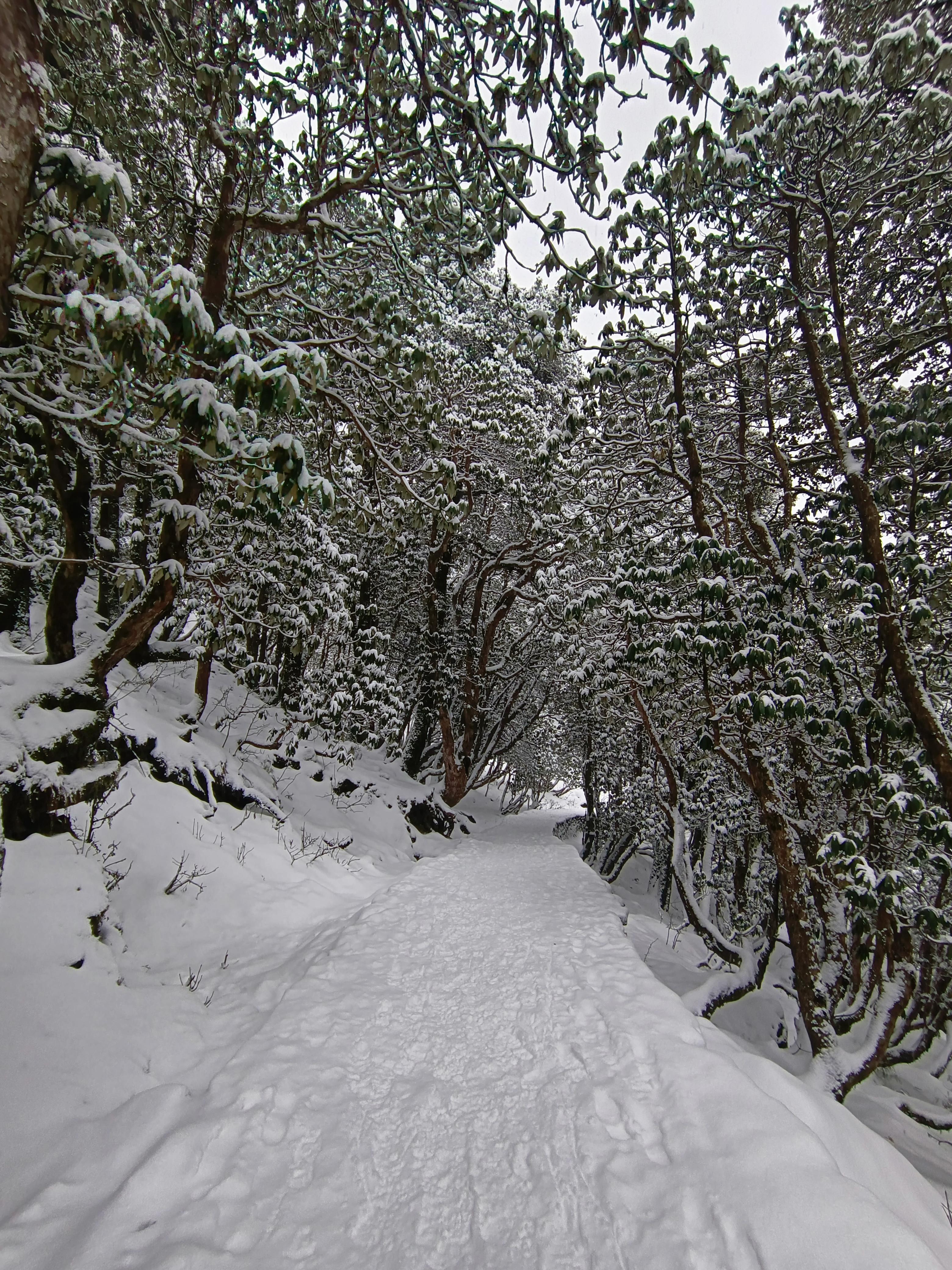 Tungnath Chandrashila Trek (Via Deoria Tal) scenery 6
