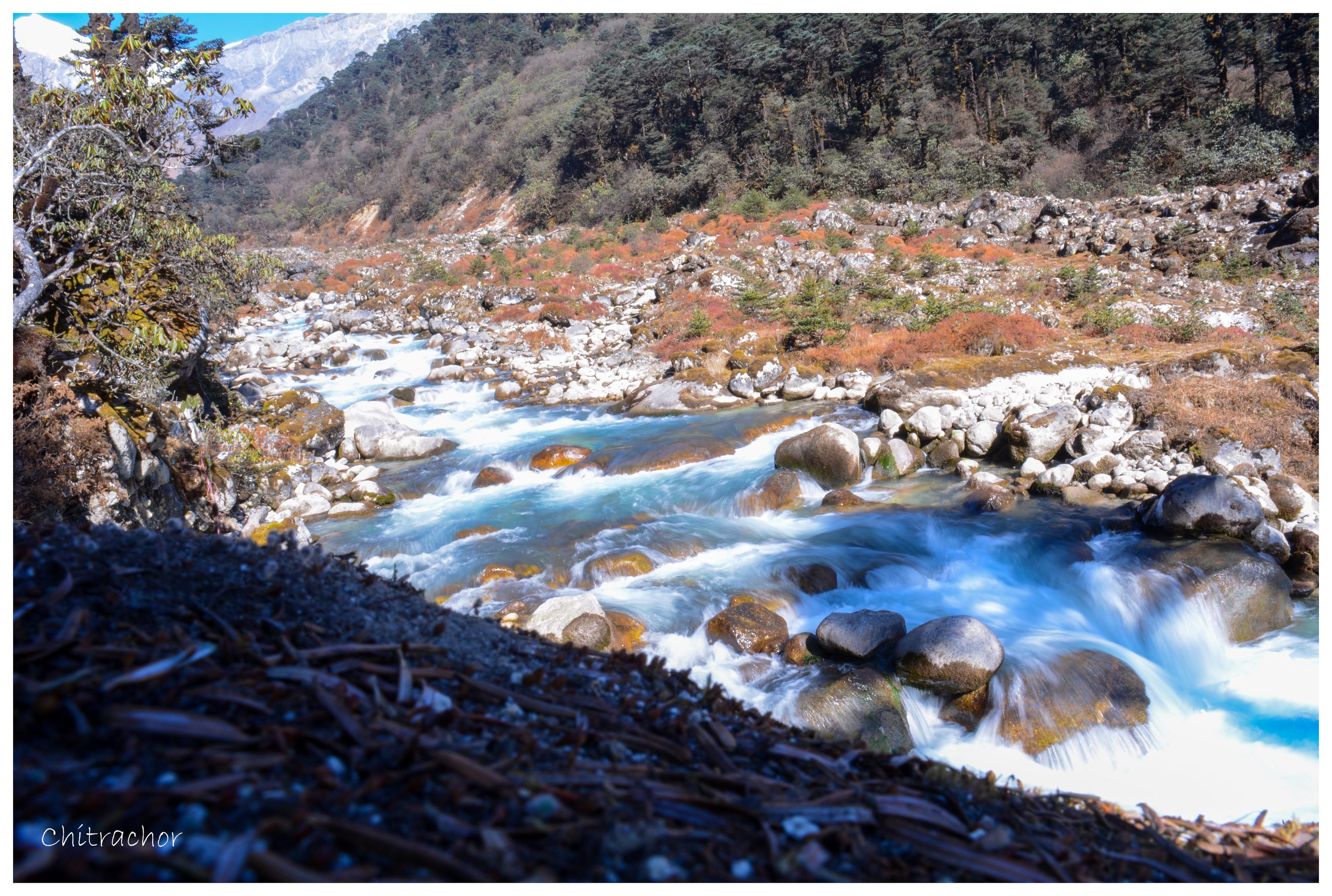 Goechala Trek scenery 32