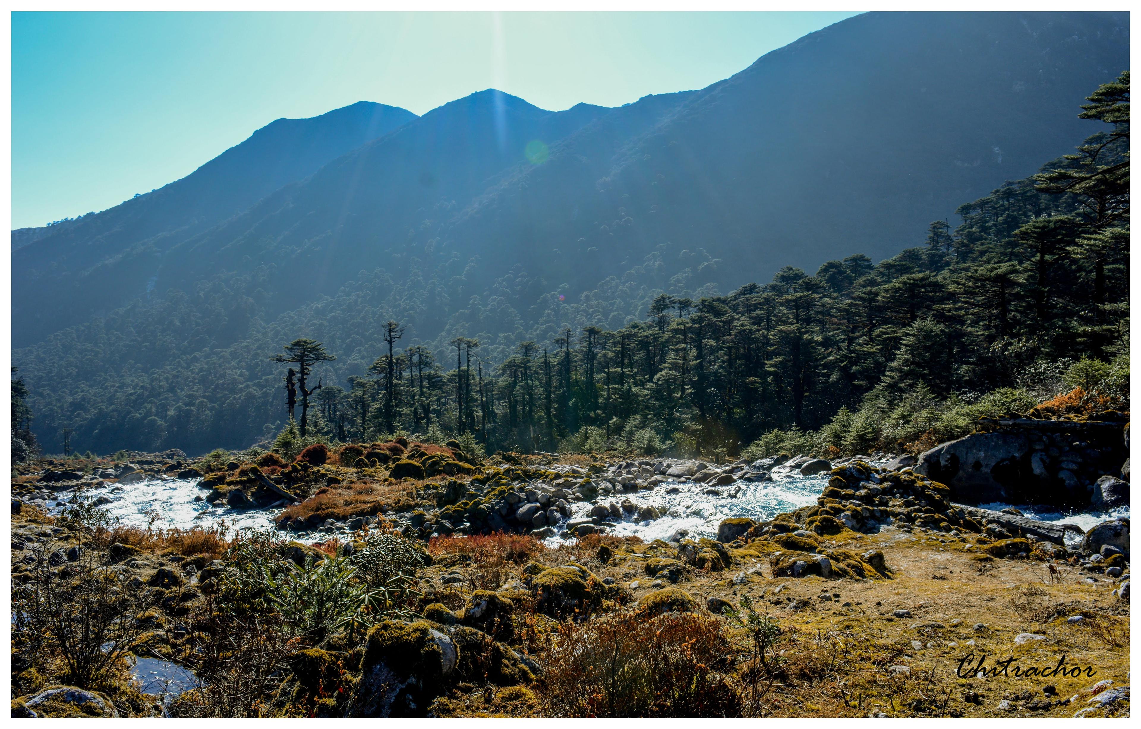 Goechala Trek scenery 35