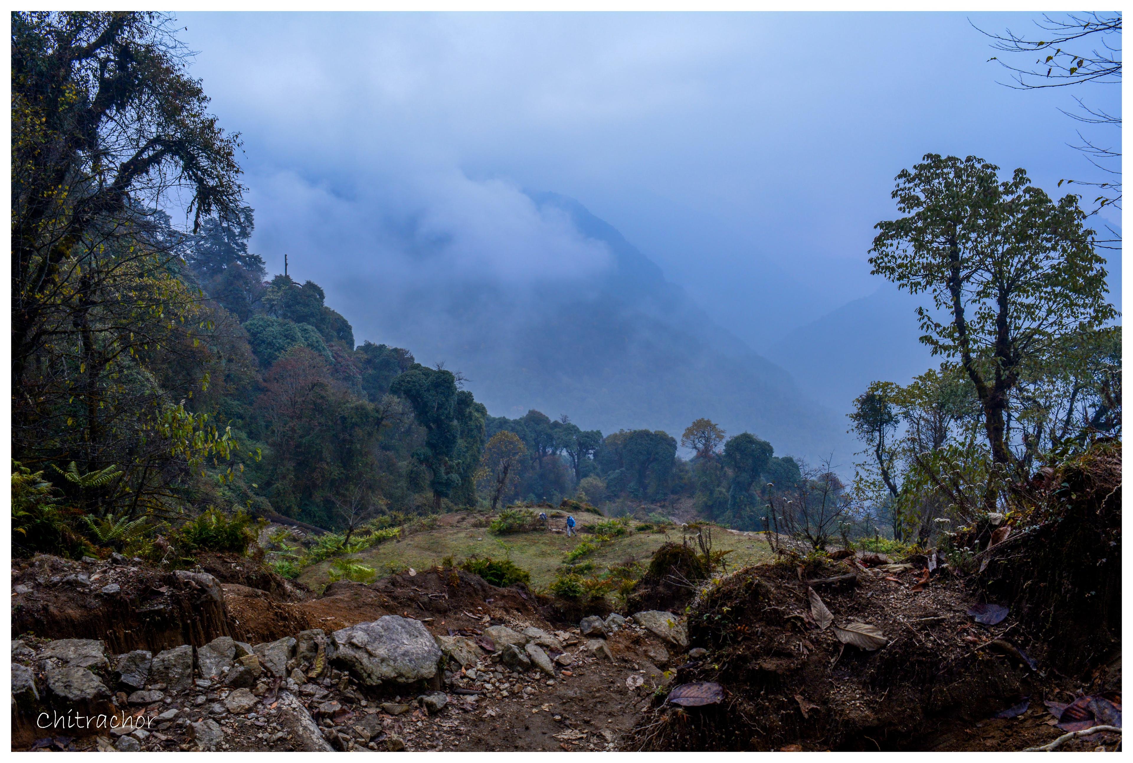 Goechala Trek scenery 11