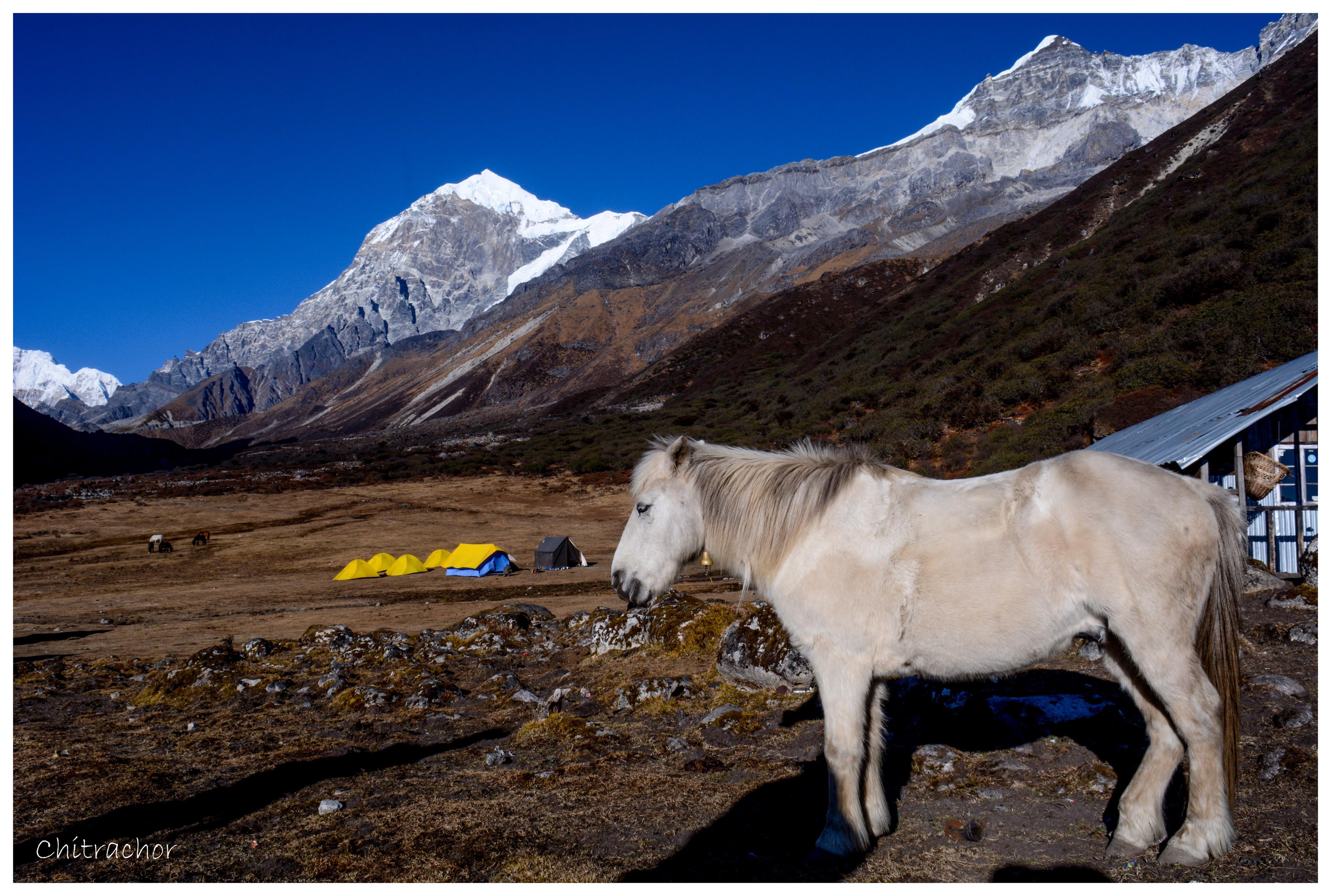 Goechala Trek scenery 37