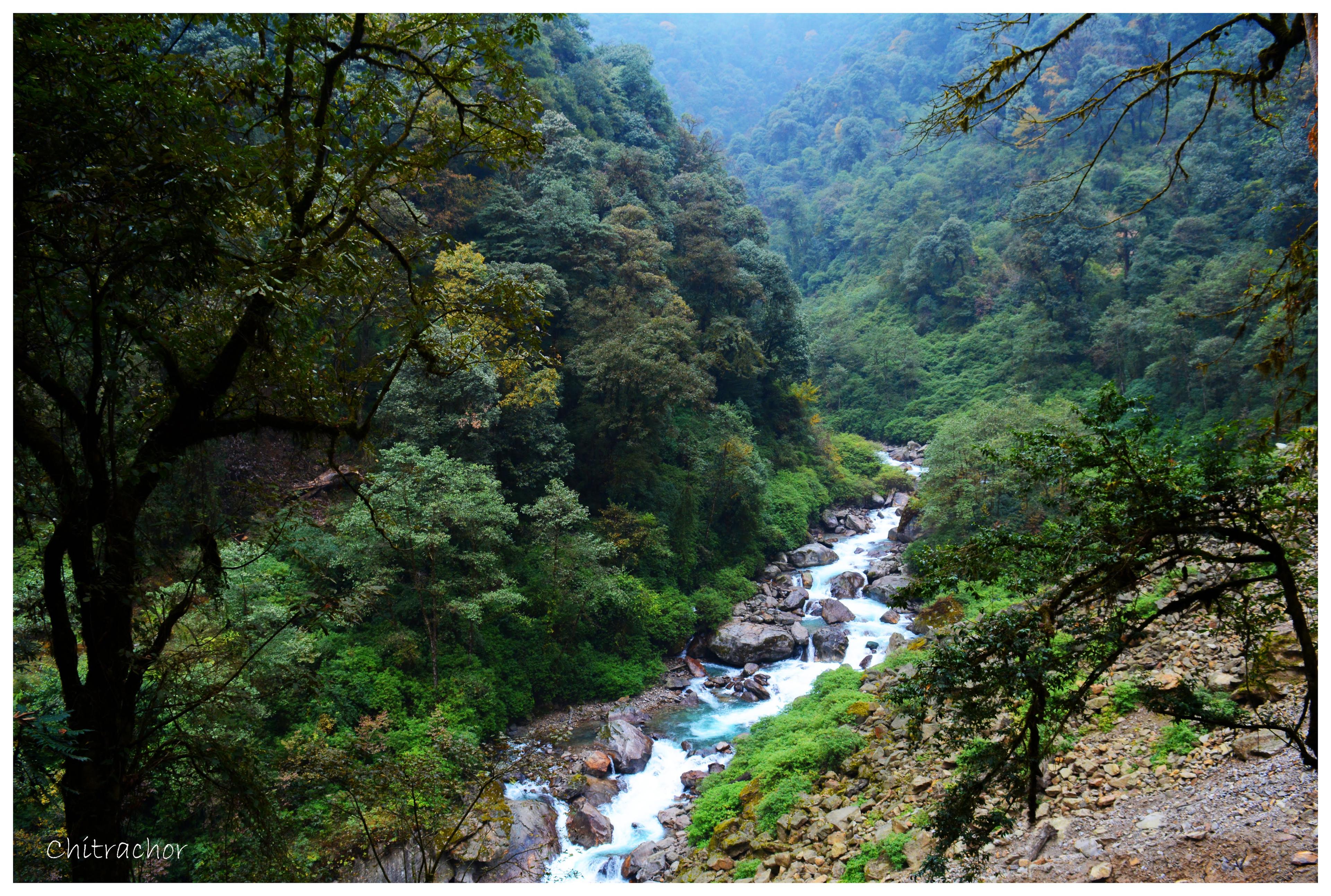 Goechala Trek scenery 9