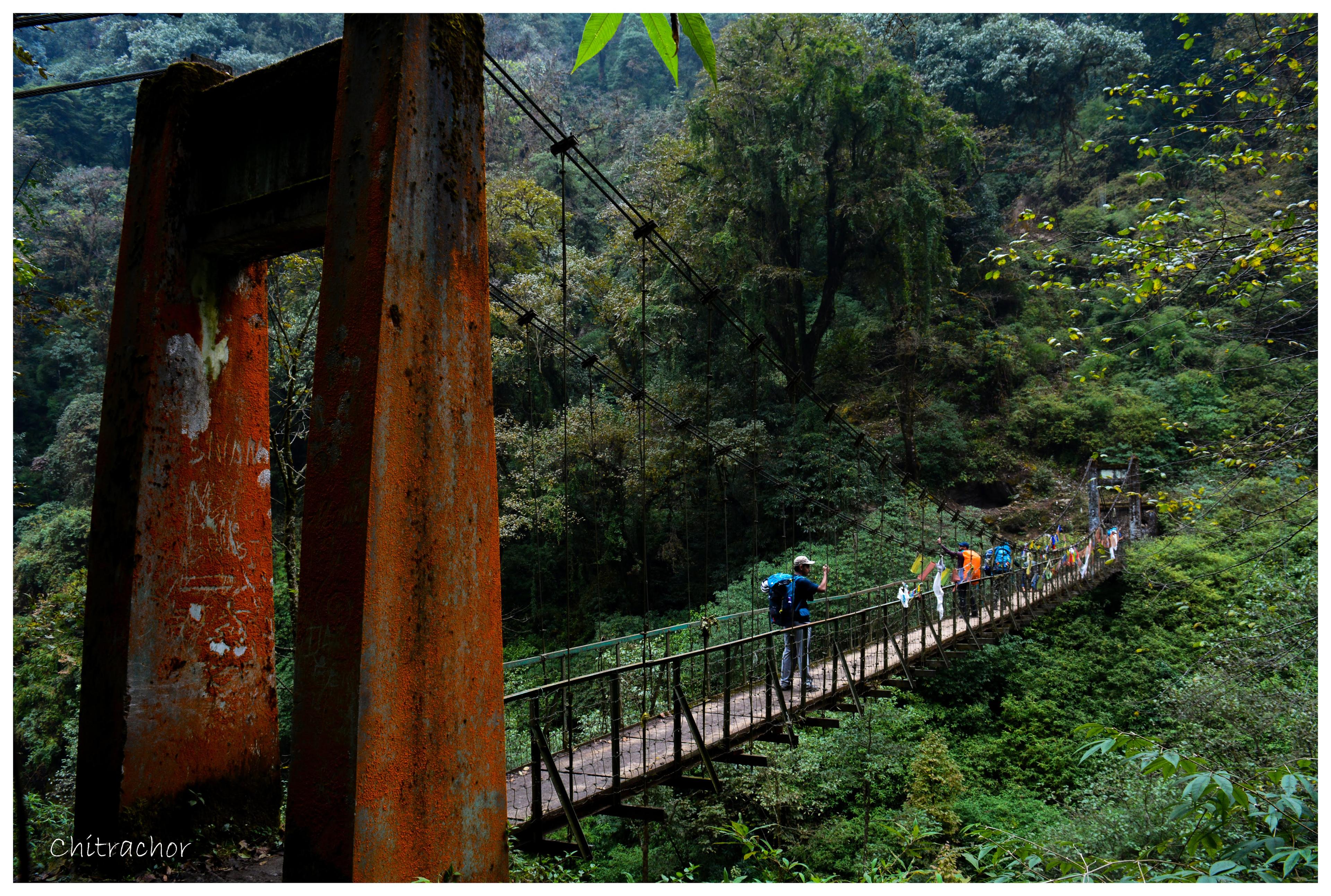 Goechala Trek scenery 10