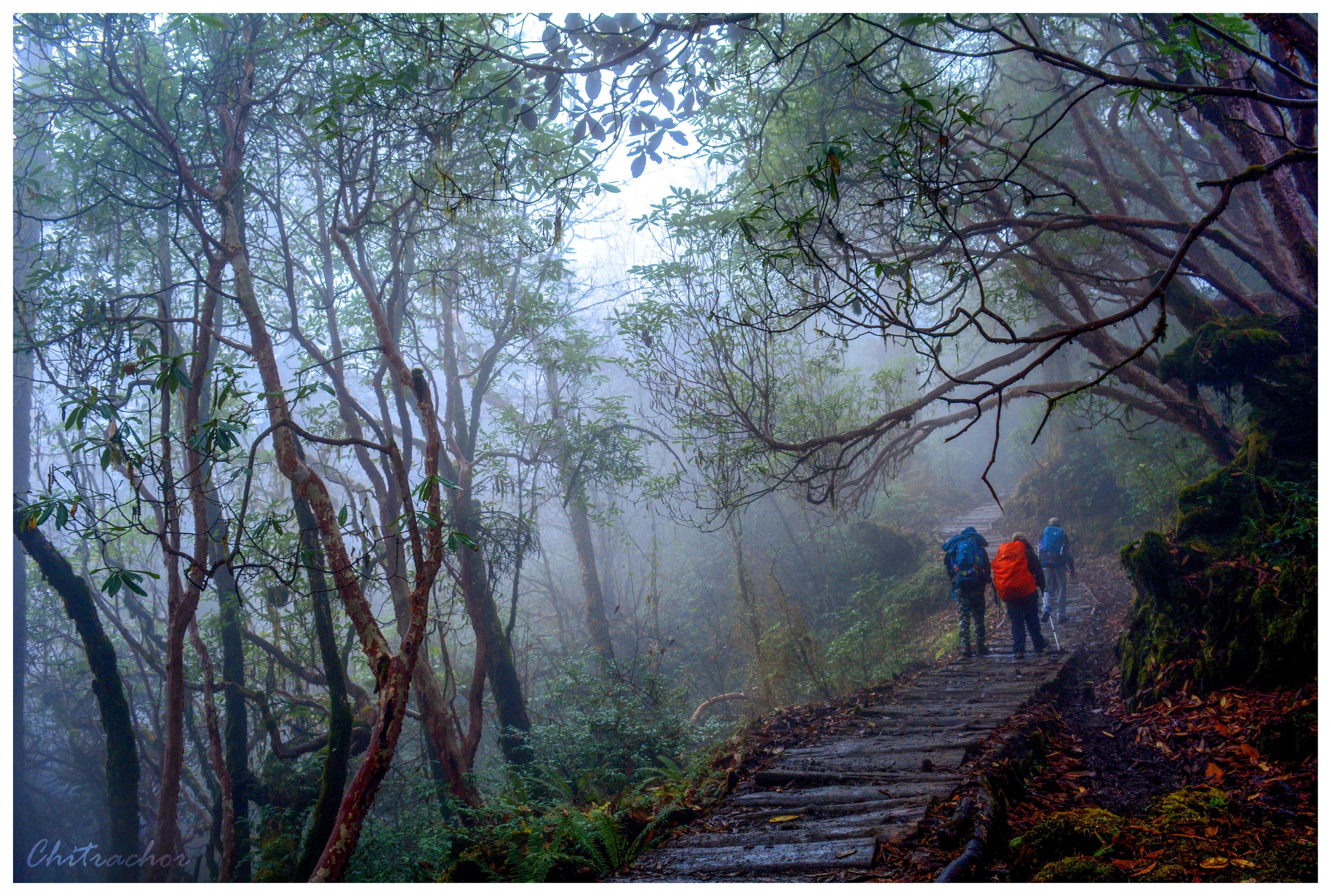Goechala Trek scenery 13