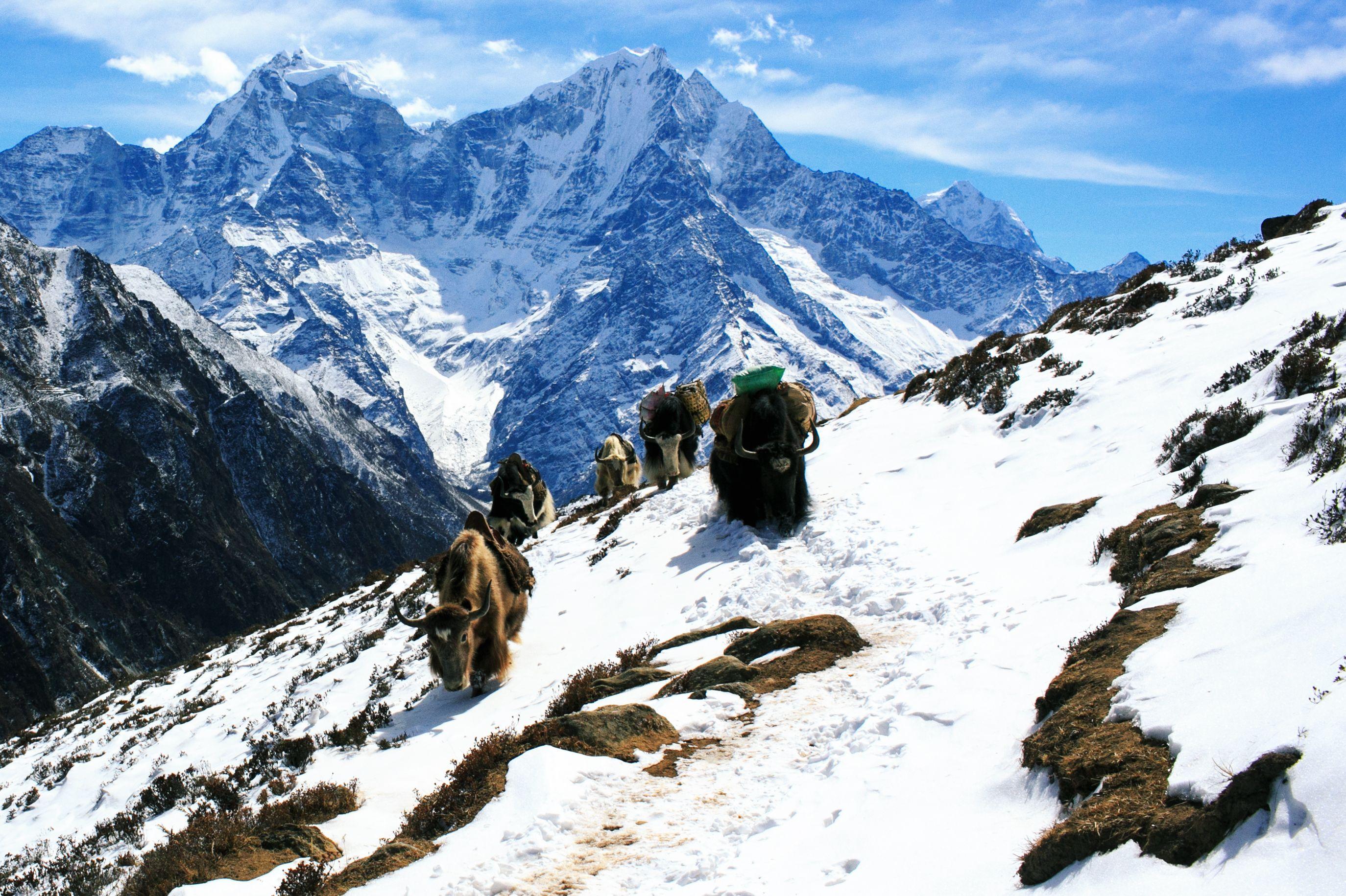 Island Peak (Imja Tse) Expedition scenery 5
