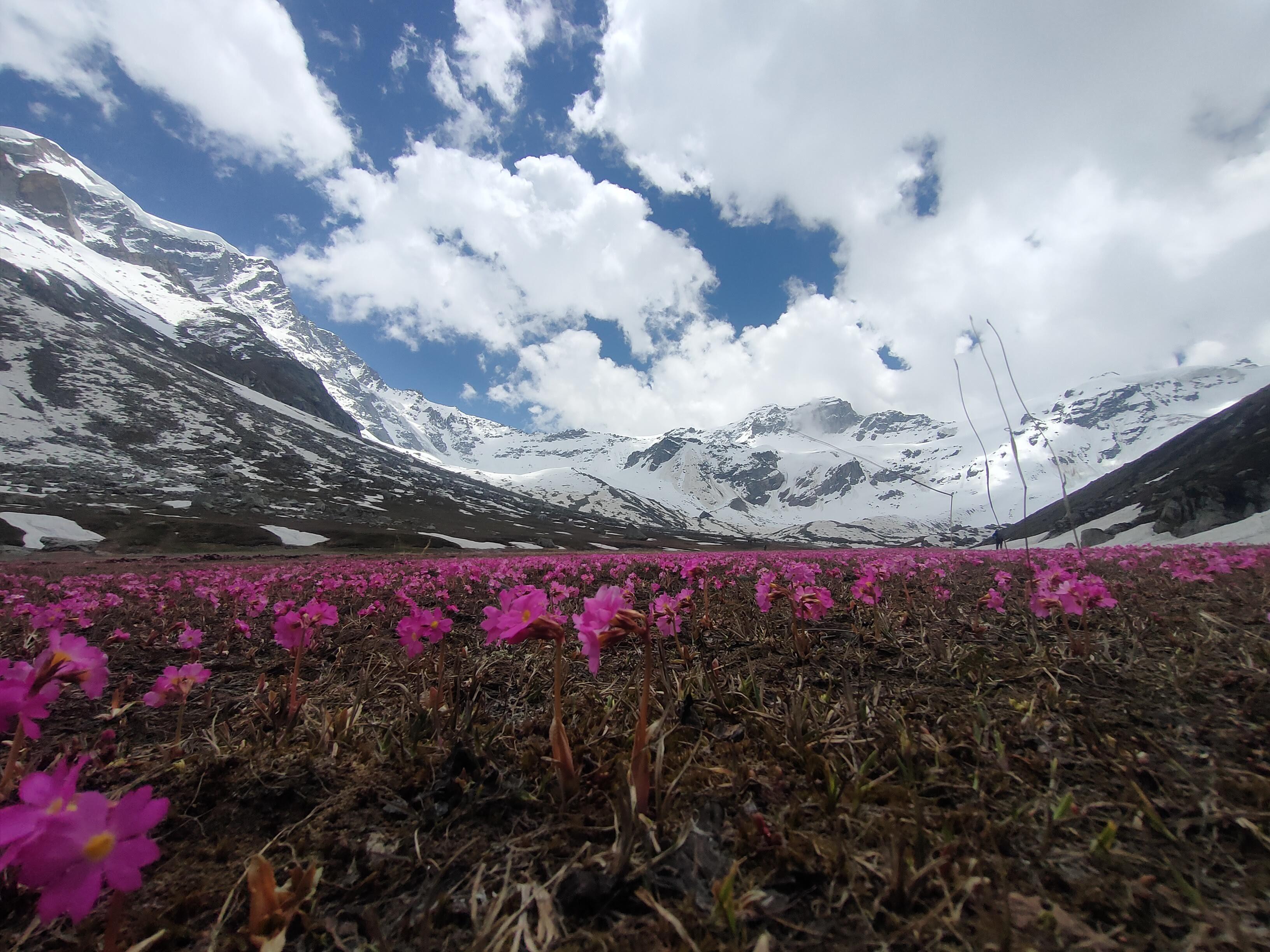 Jagatsukh Peak Expedition scenery 9