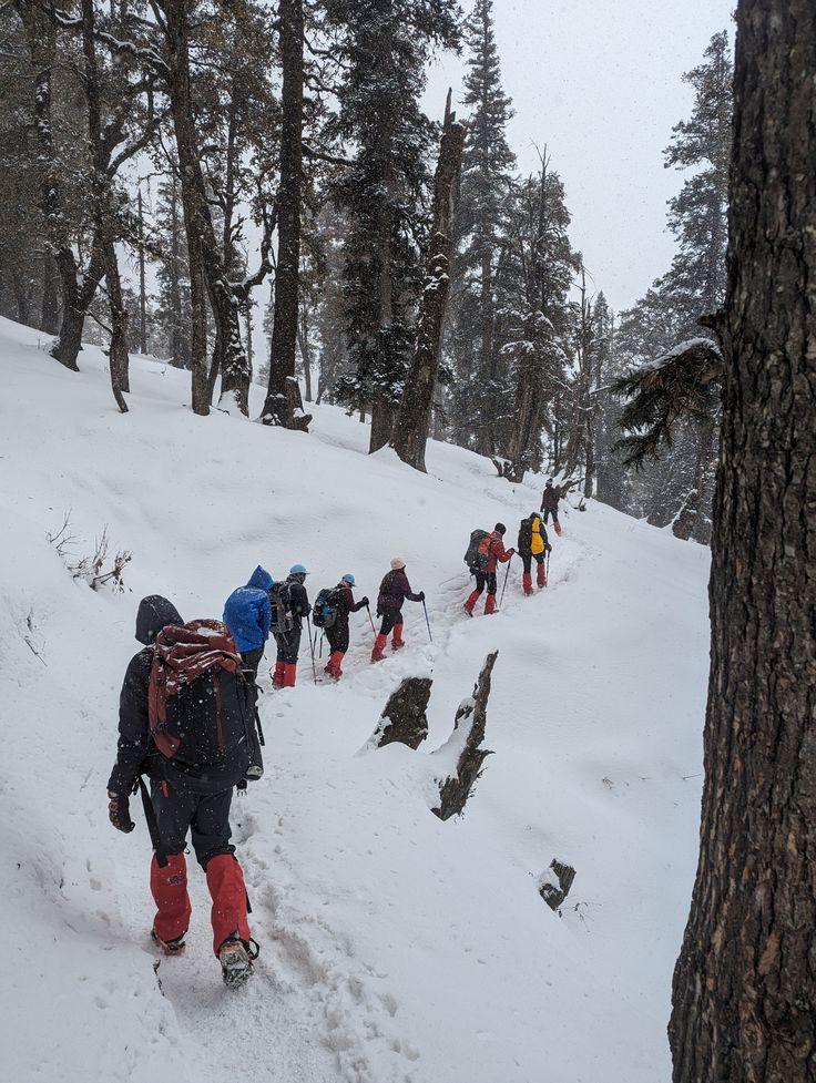 Kedarkantha Trek — The winter summit for first-timers