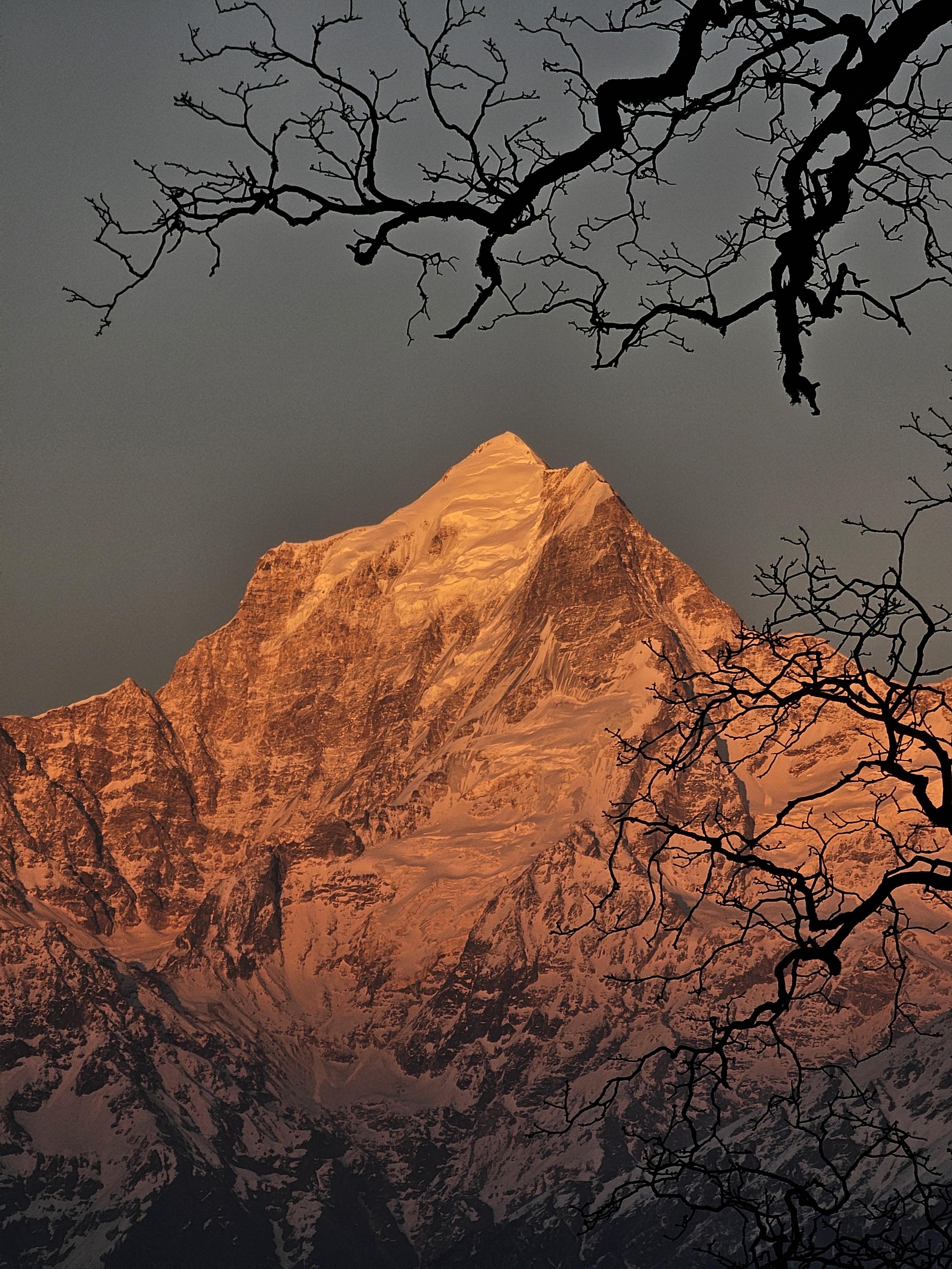 Kuari Pass Trek scenery 7