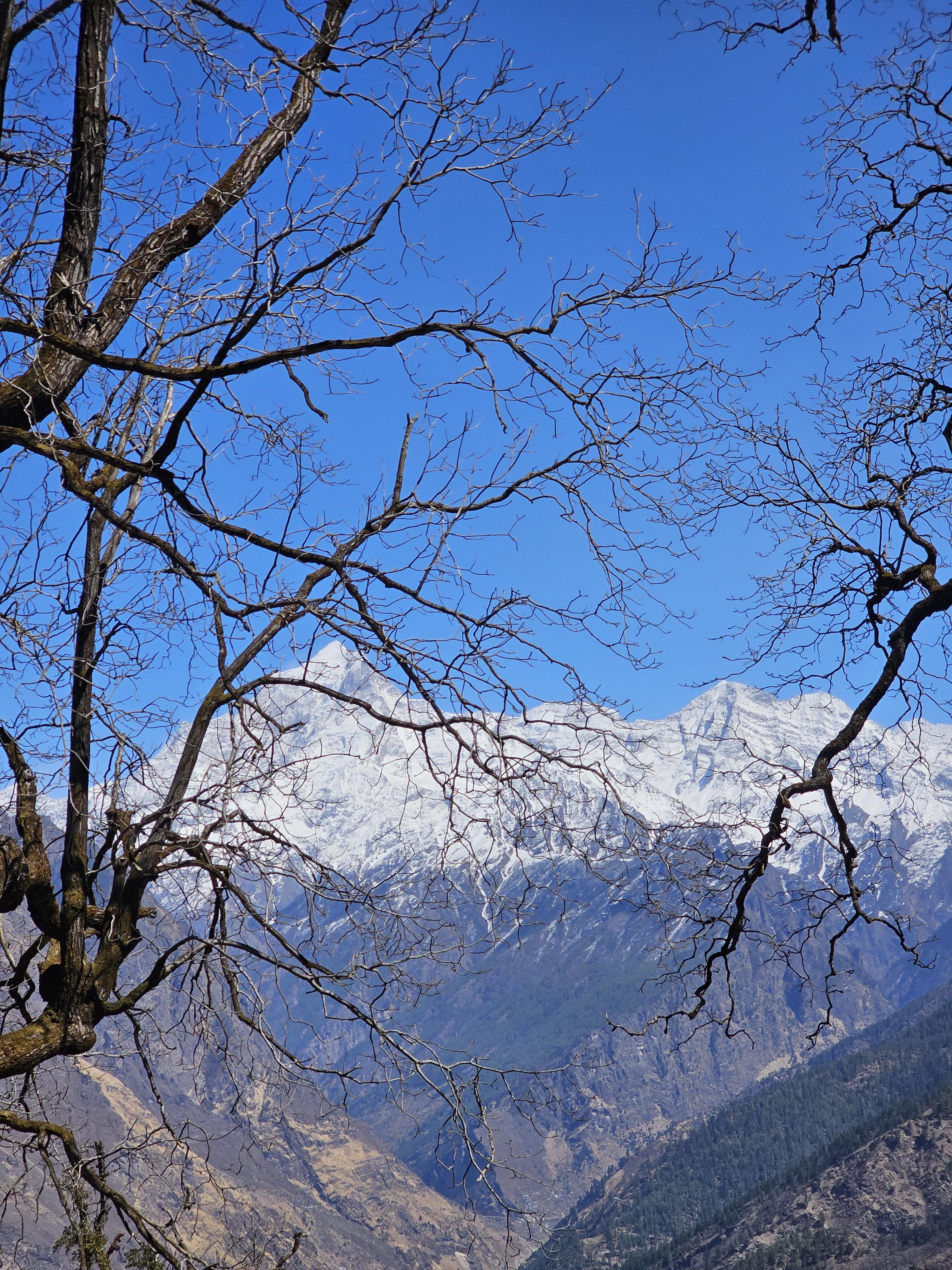 Kuari Pass Trek scenery 8