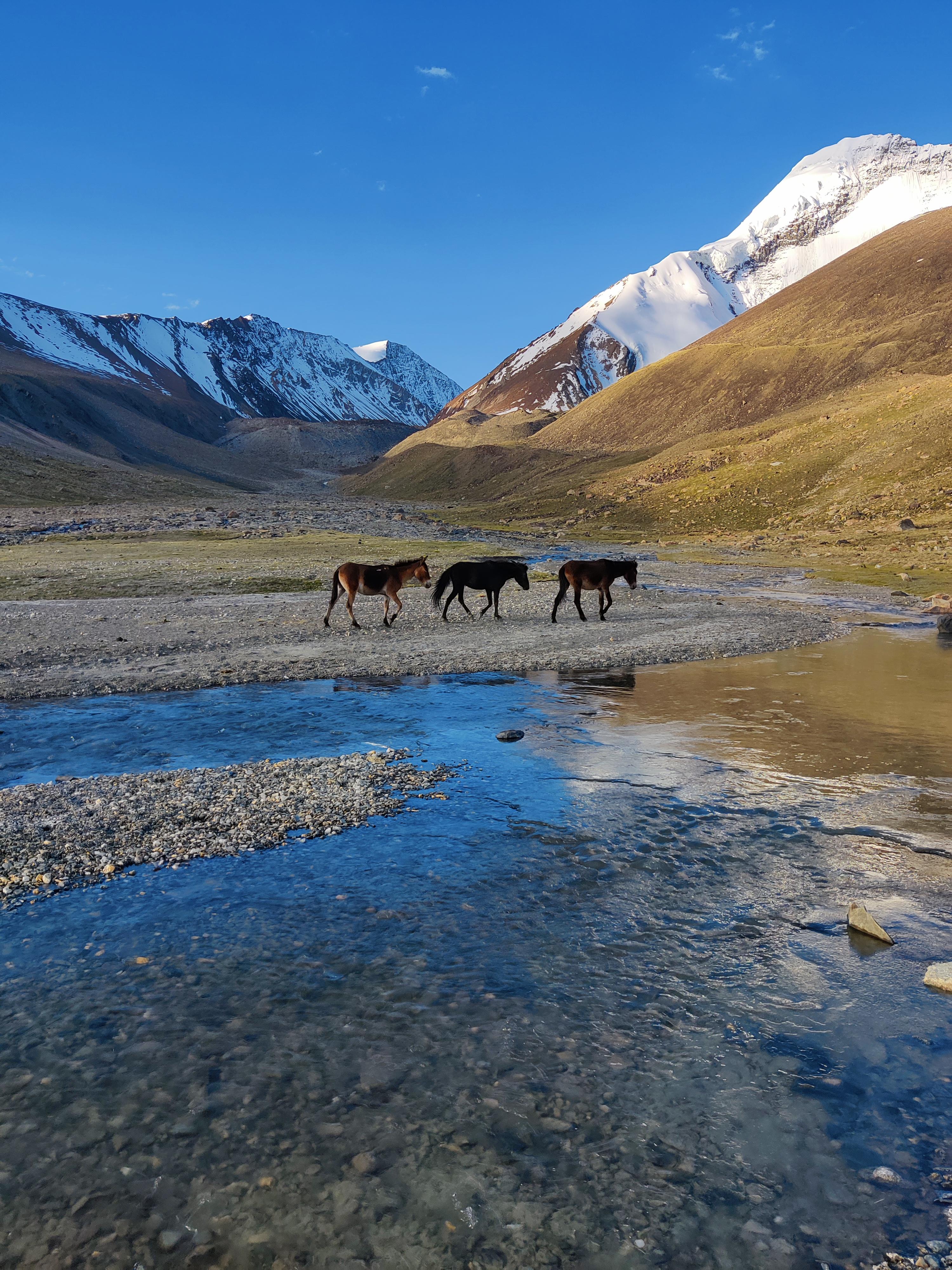 Markha Valley Trek scenery 11