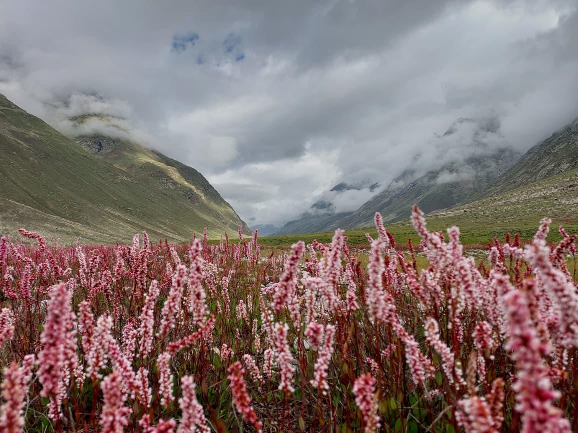 Pin Bhaba Pass Trek — Green Kinnaur to desert Spiti in two days