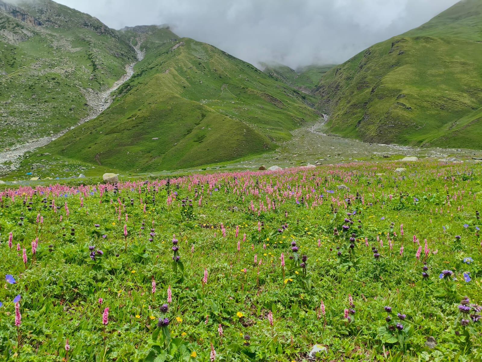 Pin Bhaba Pass Trek scenery 4