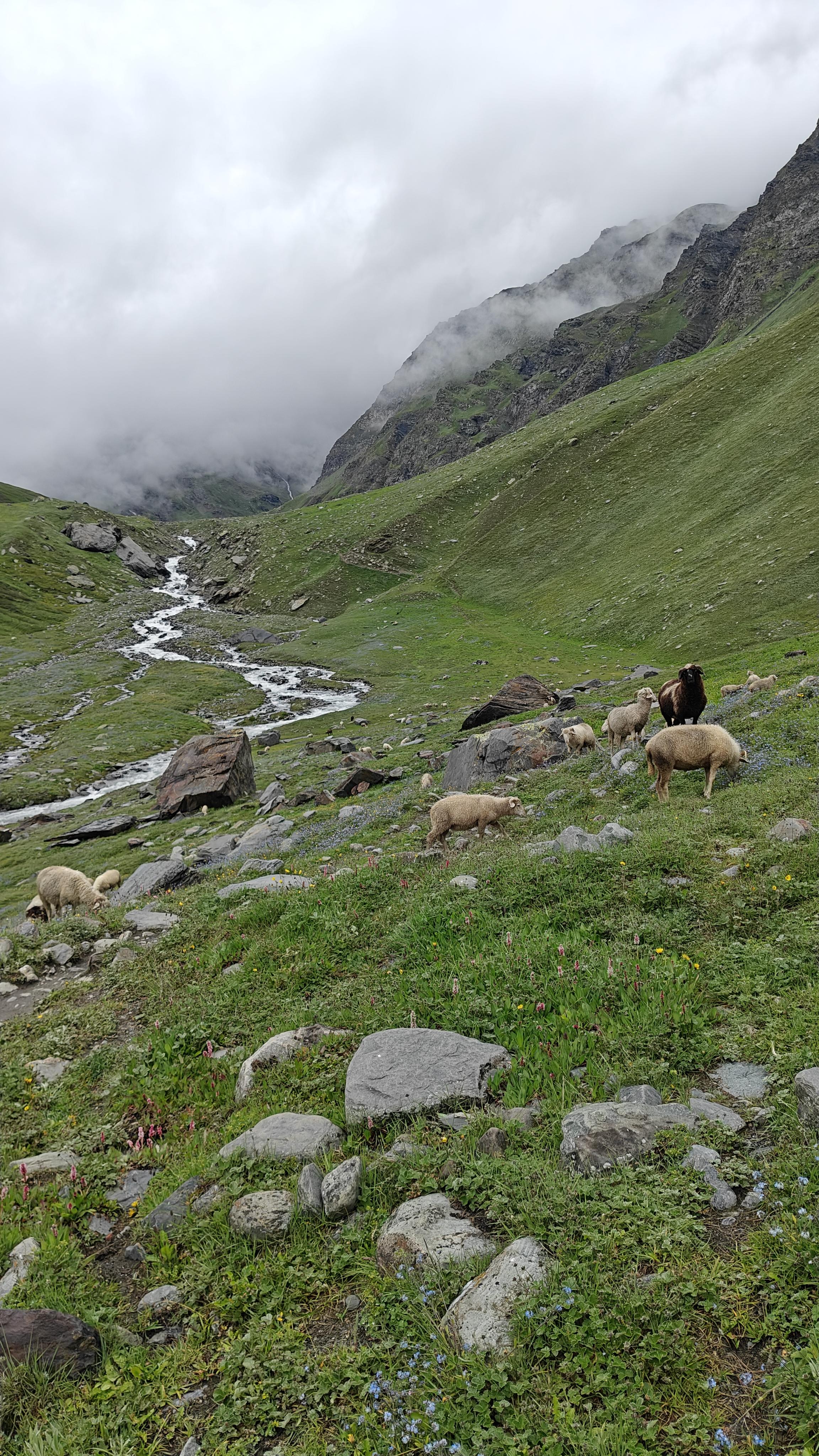 Pin Bhaba Pass Trek scenery 7