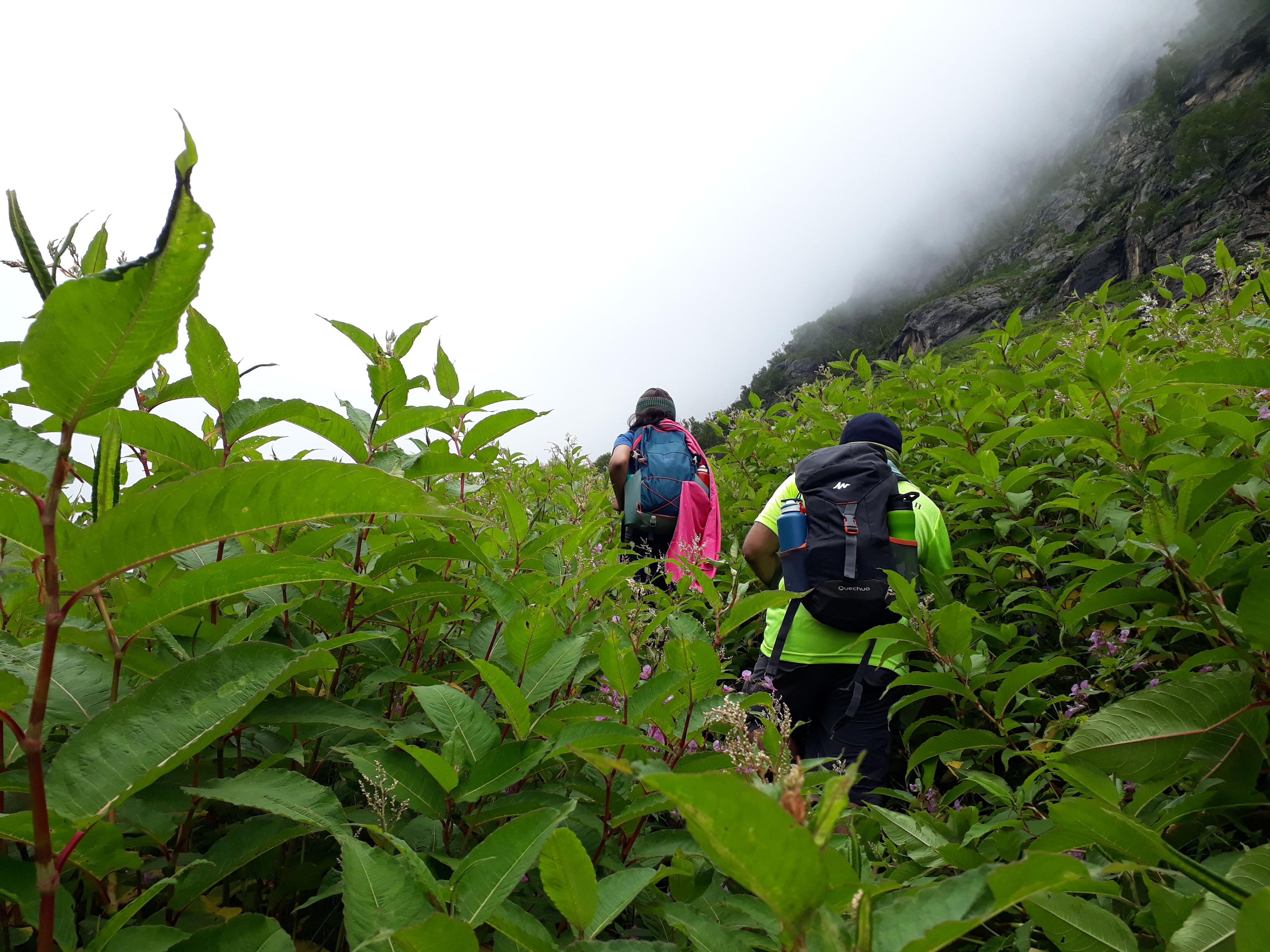 Pin Parvati Pass Trek scenery 13