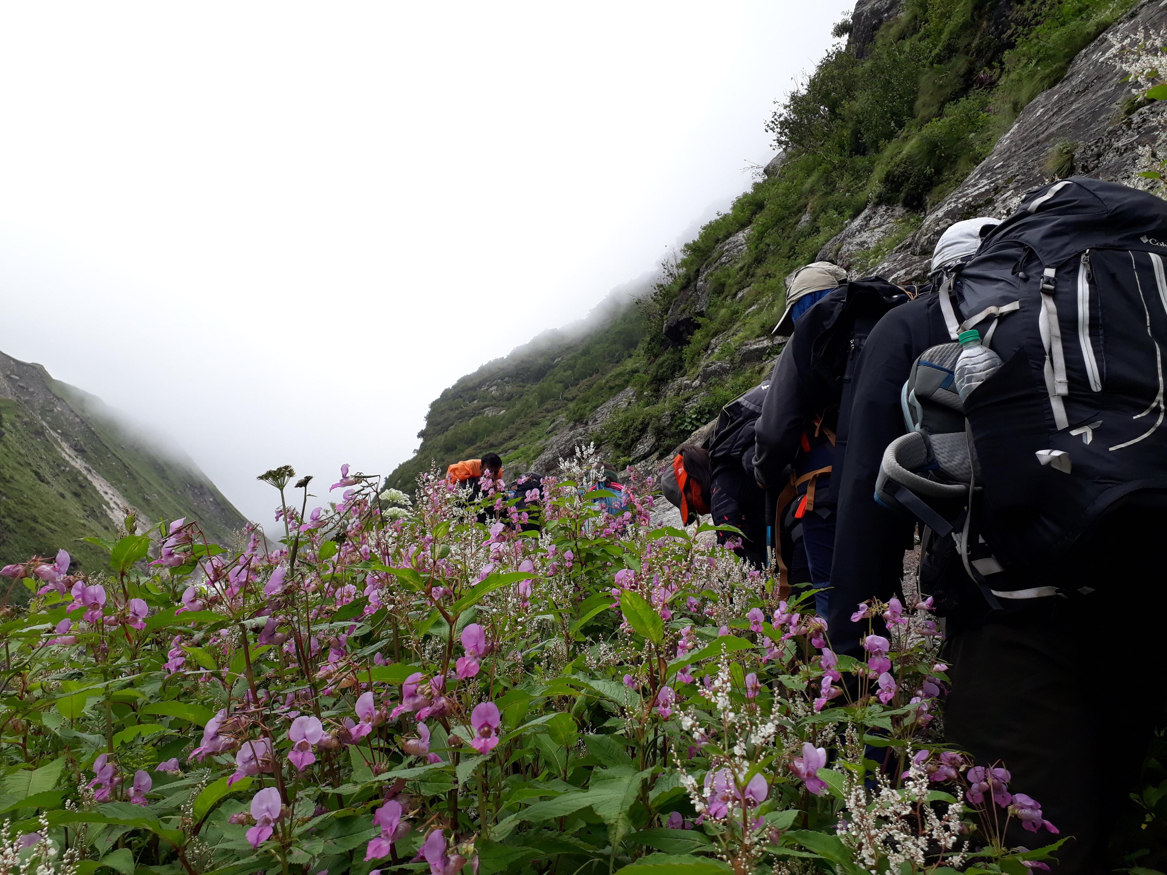 Pin Parvati Pass Trek scenery 12