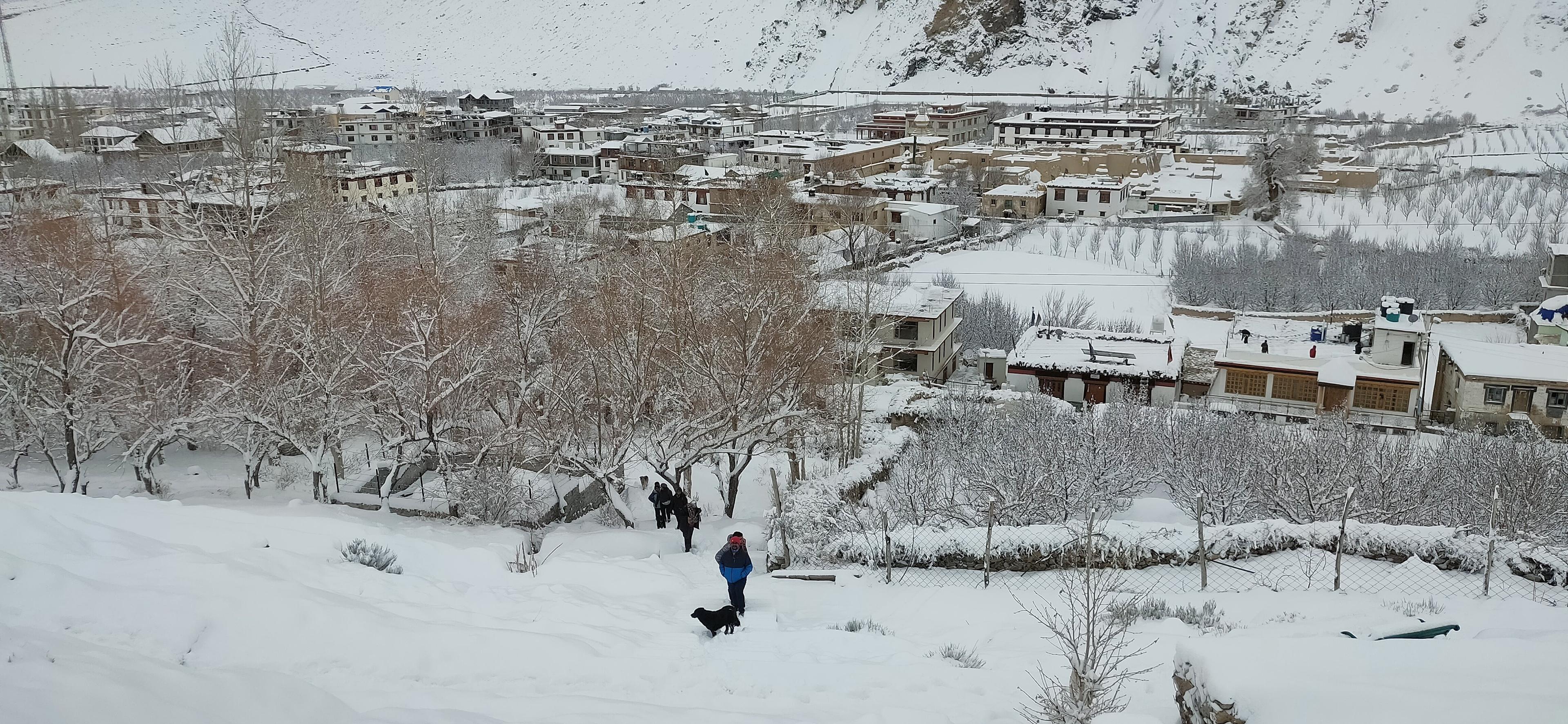 Spiti Winter Homestay Trip scenery 16