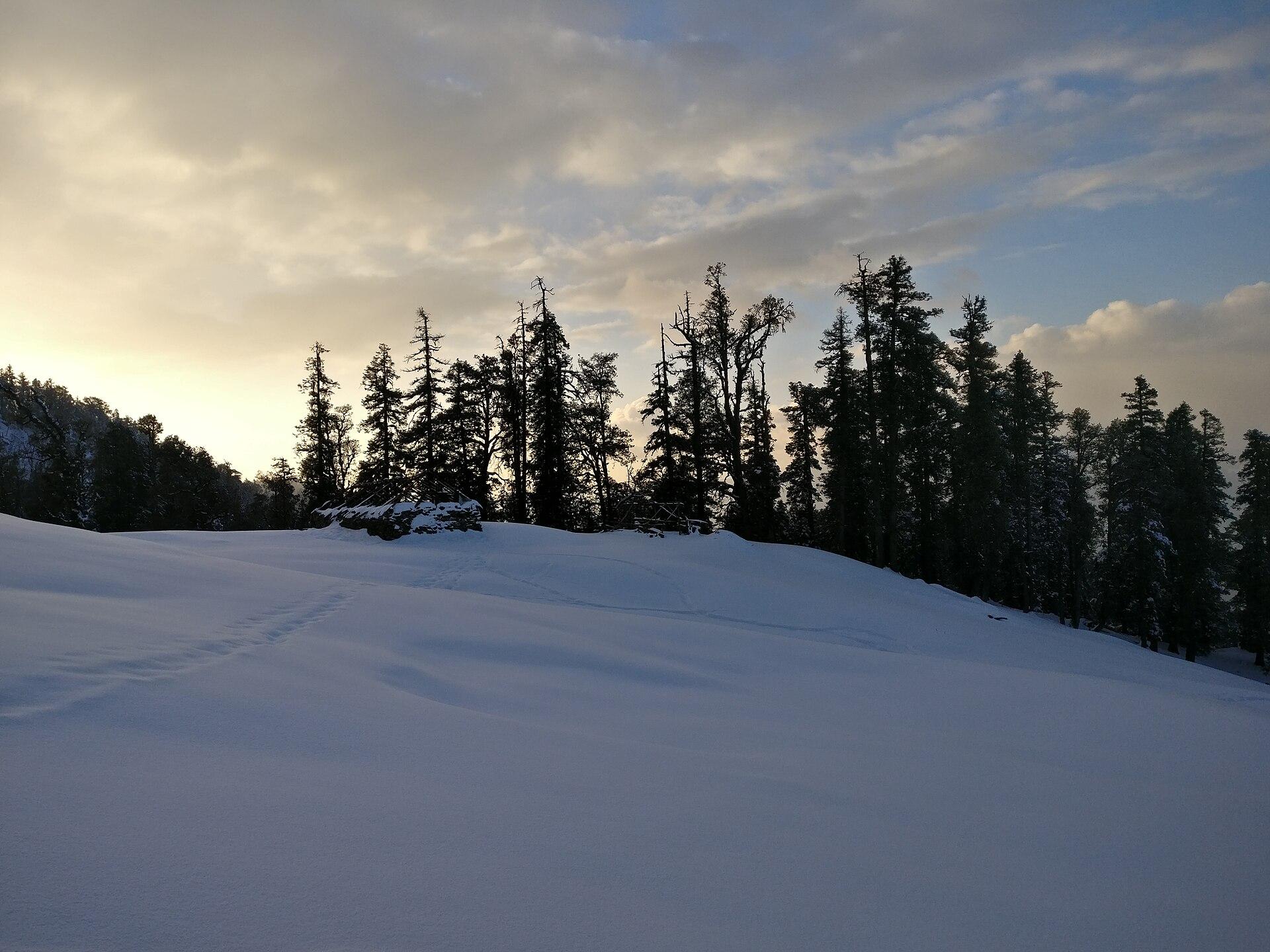 A tidy camp at the treeline — pack light, sleep warm.